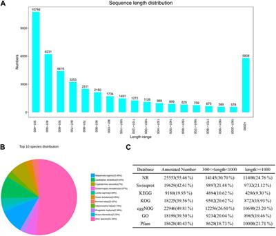 Fumigant activity and transcriptomic analysis of two plant essential oils against the tea green leafhopper, Empoasca onukii Matsuda